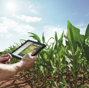Intelligenza artificiale in agricoltura